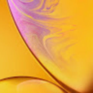 Meet your Posher, Christal